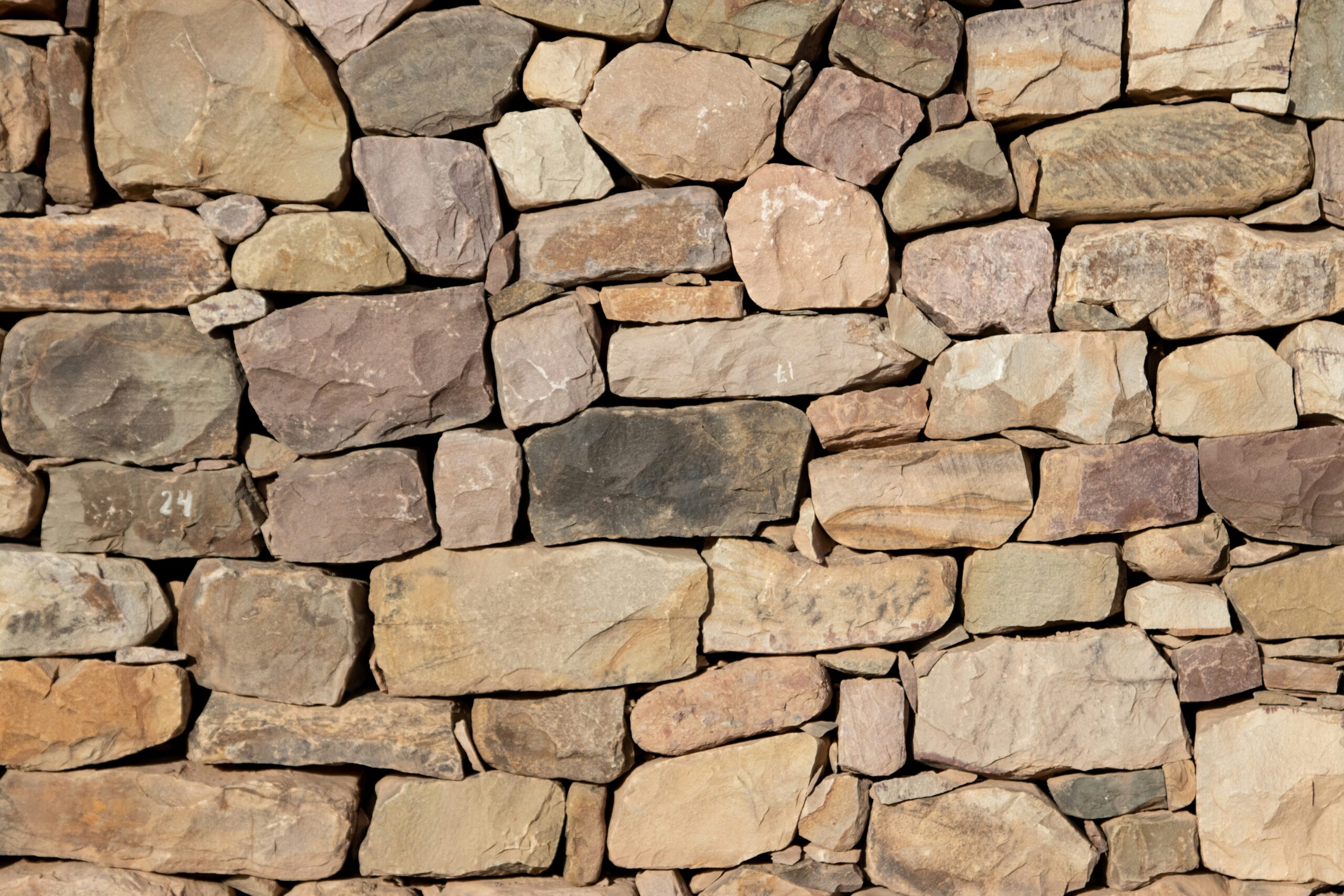 sonia-nadales-6YSiLmmoyzs-unsplash